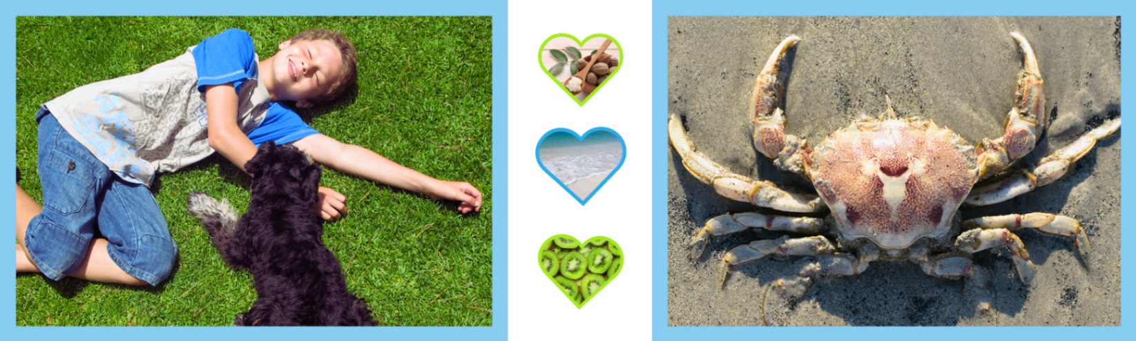 A little boy lying on the green grass with closed eyes smiling with his black dog next to him , three hearts and a crab in the sand. This image forms part of Tiiglu® We care page.