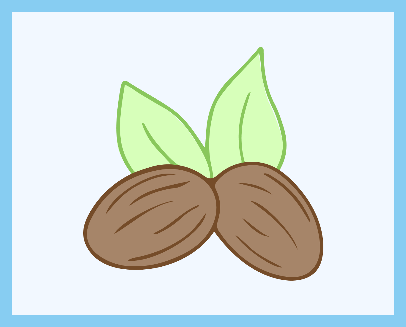 An illustration of two brown shea butter nuts and two green leaves to indicate the high percentage of naturally derived ingredients in Tiiglu® products.